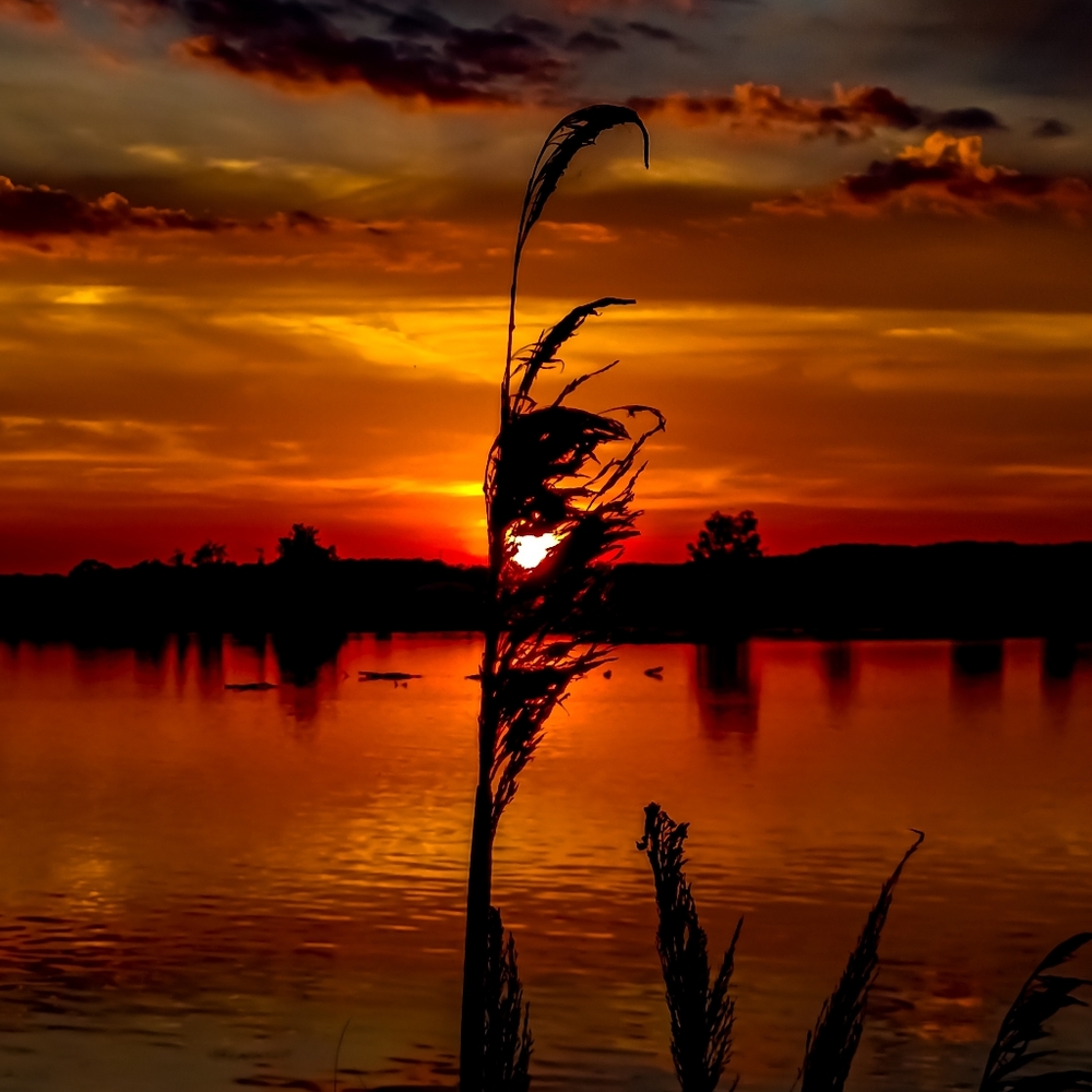 COPY - Sunset Photography by Iron